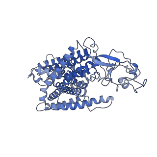 20807_6ukn_A_v1-0
Cryo-EM structure of the potassium-chloride cotransporter KCC4 in lipid nanodiscs