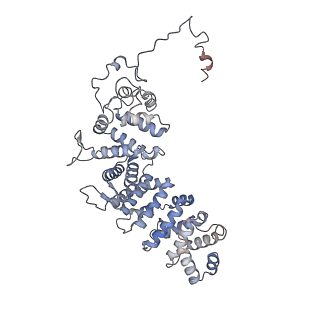 20812_6ukt_A_v1-0
Cryo-EM structure of mammalian Ric-8A:Galpha(i):nanobody complex