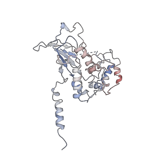 20812_6ukt_B_v1-0
Cryo-EM structure of mammalian Ric-8A:Galpha(i):nanobody complex
