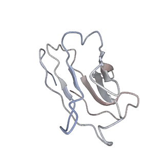 20812_6ukt_C_v1-0
Cryo-EM structure of mammalian Ric-8A:Galpha(i):nanobody complex