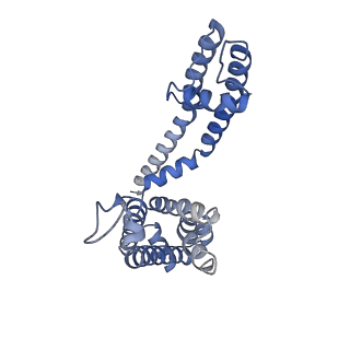 26575_7uk5_A_v1-1
Human Kv4.2-KChIP2 channel complex in an open state, transmembrane region