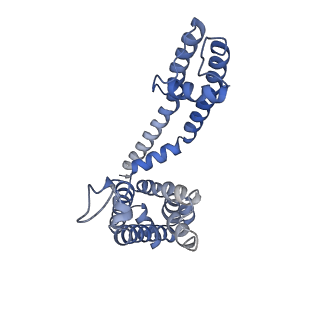 26575_7uk5_A_v1-2
Human Kv4.2-KChIP2 channel complex in an open state, transmembrane region