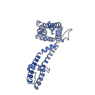 26575_7uk5_C_v1-1
Human Kv4.2-KChIP2 channel complex in an open state, transmembrane region