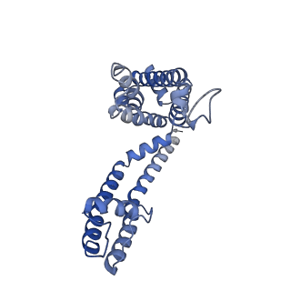 26575_7uk5_C_v1-2
Human Kv4.2-KChIP2 channel complex in an open state, transmembrane region