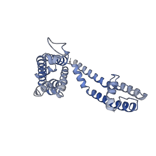 26575_7uk5_D_v1-2
Human Kv4.2-KChIP2 channel complex in an open state, transmembrane region