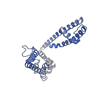 26576_7ukc_A_v1-1
Human Kv4.2-KChIP2 channel complex in an inactivated state, class 1, transmembrane region