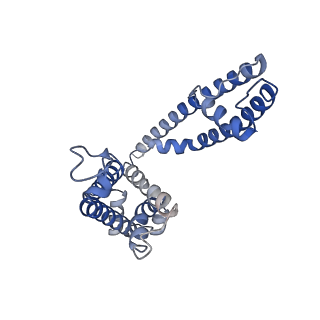 26576_7ukc_A_v1-2
Human Kv4.2-KChIP2 channel complex in an inactivated state, class 1, transmembrane region