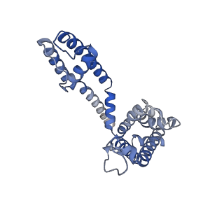 26576_7ukc_B_v1-1
Human Kv4.2-KChIP2 channel complex in an inactivated state, class 1, transmembrane region