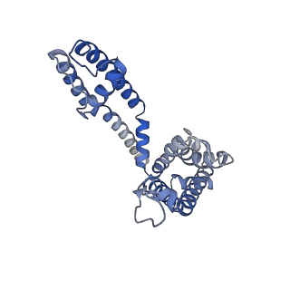 26576_7ukc_B_v1-2
Human Kv4.2-KChIP2 channel complex in an inactivated state, class 1, transmembrane region