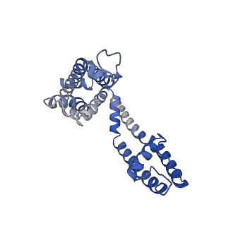 26576_7ukc_D_v1-1
Human Kv4.2-KChIP2 channel complex in an inactivated state, class 1, transmembrane region