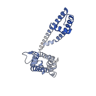 26577_7ukd_A_v1-1
Human Kv4.2-KChIP2 channel complex in an inactivated state, class 2, transmembrane region
