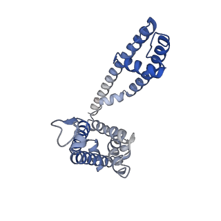 26577_7ukd_A_v1-2
Human Kv4.2-KChIP2 channel complex in an inactivated state, class 2, transmembrane region