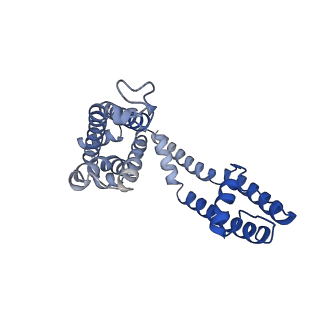 26577_7ukd_D_v1-1
Human Kv4.2-KChIP2 channel complex in an inactivated state, class 2, transmembrane region