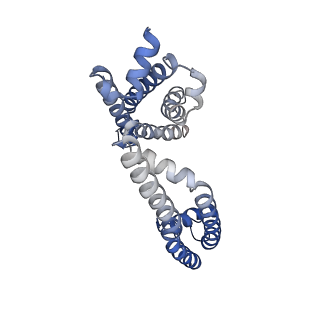 26578_7uke_A_v1-1
Human Kv4.2-KChIP2 channel complex in an intermediate state, transmembrane region