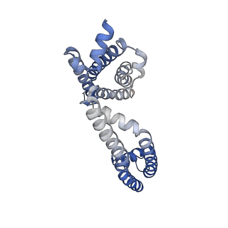 26578_7uke_A_v1-2
Human Kv4.2-KChIP2 channel complex in an intermediate state, transmembrane region