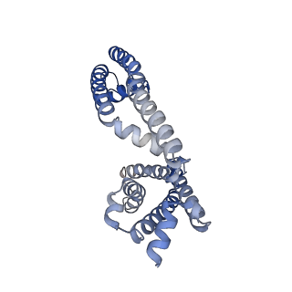 26578_7uke_C_v1-1
Human Kv4.2-KChIP2 channel complex in an intermediate state, transmembrane region
