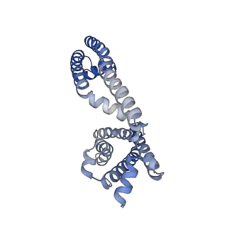 26578_7uke_C_v1-2
Human Kv4.2-KChIP2 channel complex in an intermediate state, transmembrane region