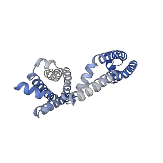 26578_7uke_D_v1-1
Human Kv4.2-KChIP2 channel complex in an intermediate state, transmembrane region