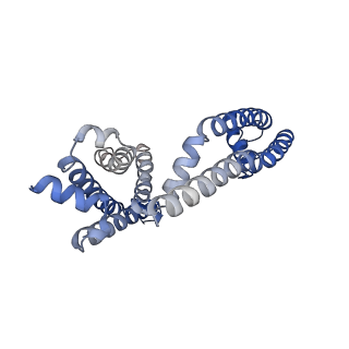 26578_7uke_D_v1-2
Human Kv4.2-KChIP2 channel complex in an intermediate state, transmembrane region