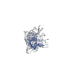 26582_7ukj_B_v1-0
In situ cryo-EM structure of bacteriophage Sf6 portal:gp7 complex at 2.7A resolution