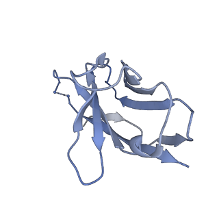 26583_7ukl_N_v1-2
Cryo-EM structure of Antibody 12-16 in complex with prefusion SARS-CoV-2 Spike glycoprotein