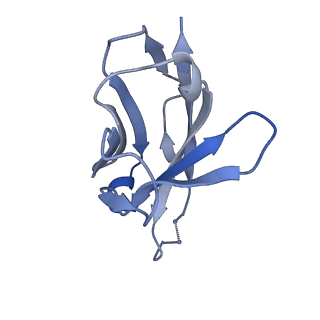 26583_7ukl_Y_v1-2
Cryo-EM structure of Antibody 12-16 in complex with prefusion SARS-CoV-2 Spike glycoprotein