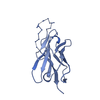 26584_7ukm_H_v1-0
Cryo-EM structure of Antibody 12-19 in complex with prefusion SARS-CoV-2 Spike glycoprotein