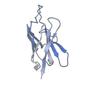 26584_7ukm_L_v1-0
Cryo-EM structure of Antibody 12-19 in complex with prefusion SARS-CoV-2 Spike glycoprotein