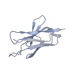 26584_7ukm_N_v1-0
Cryo-EM structure of Antibody 12-19 in complex with prefusion SARS-CoV-2 Spike glycoprotein