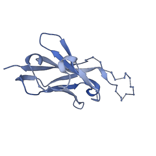 26584_7ukm_X_v1-0
Cryo-EM structure of Antibody 12-19 in complex with prefusion SARS-CoV-2 Spike glycoprotein