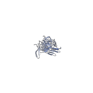 8562_5uk0_A_v1-3
CryoEM structure of an influenza virus receptor-binding site antibody-antigen interface - Class 2