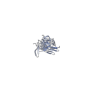 8562_5uk0_A_v2-0
CryoEM structure of an influenza virus receptor-binding site antibody-antigen interface - Class 2