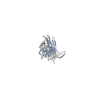 8562_5uk0_C_v1-3
CryoEM structure of an influenza virus receptor-binding site antibody-antigen interface - Class 2