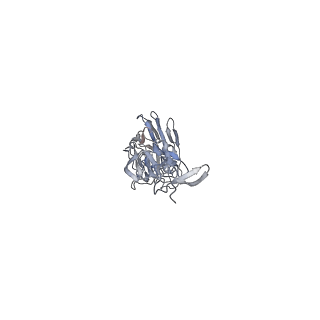 8562_5uk0_C_v2-0
CryoEM structure of an influenza virus receptor-binding site antibody-antigen interface - Class 2