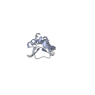 8562_5uk0_D_v1-3
CryoEM structure of an influenza virus receptor-binding site antibody-antigen interface - Class 2
