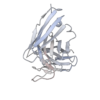 8562_5uk0_G_v1-3
CryoEM structure of an influenza virus receptor-binding site antibody-antigen interface - Class 2