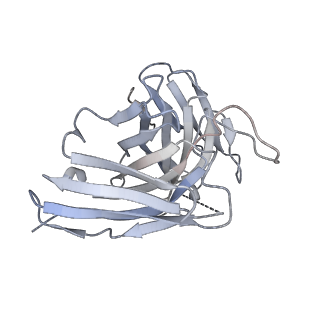 8562_5uk0_H_v1-3
CryoEM structure of an influenza virus receptor-binding site antibody-antigen interface - Class 2