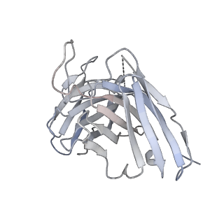 8562_5uk0_I_v1-3
CryoEM structure of an influenza virus receptor-binding site antibody-antigen interface - Class 2