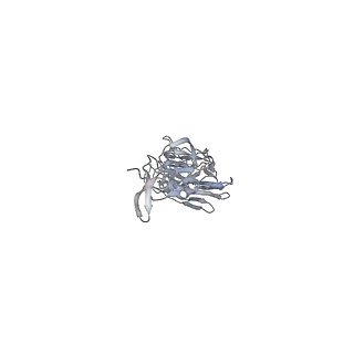 8563_5uk1_A_v1-3
CryoEM structure of an influenza virus receptor-binding site antibody-antigen interface - Class 3