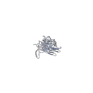 8563_5uk1_A_v2-0
CryoEM structure of an influenza virus receptor-binding site antibody-antigen interface - Class 3
