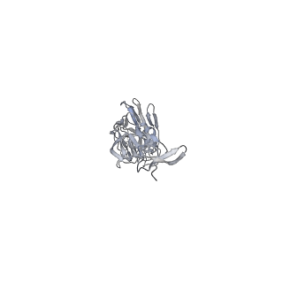 8563_5uk1_C_v1-3
CryoEM structure of an influenza virus receptor-binding site antibody-antigen interface - Class 3