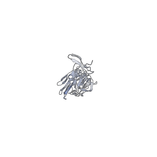 8563_5uk1_E_v1-3
CryoEM structure of an influenza virus receptor-binding site antibody-antigen interface - Class 3