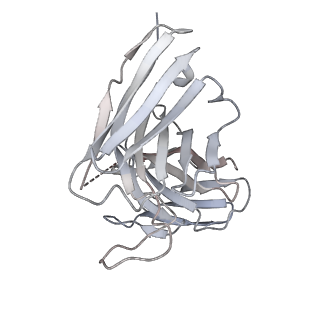 8563_5uk1_G_v1-3
CryoEM structure of an influenza virus receptor-binding site antibody-antigen interface - Class 3