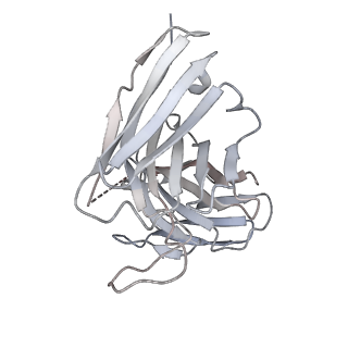 8563_5uk1_G_v2-0
CryoEM structure of an influenza virus receptor-binding site antibody-antigen interface - Class 3