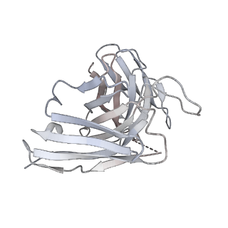 8563_5uk1_H_v1-3
CryoEM structure of an influenza virus receptor-binding site antibody-antigen interface - Class 3