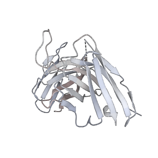 8563_5uk1_I_v1-3
CryoEM structure of an influenza virus receptor-binding site antibody-antigen interface - Class 3