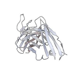 8563_5uk1_I_v2-0
CryoEM structure of an influenza virus receptor-binding site antibody-antigen interface - Class 3