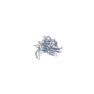 8564_5uk2_A_v1-3
CryoEM structure of an influenza virus receptor-binding site antibody-antigen interface - Class 4