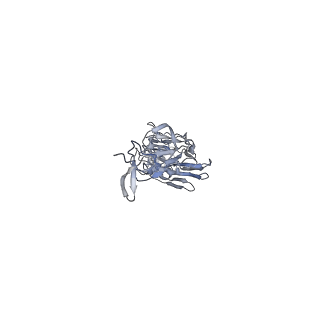 8564_5uk2_A_v2-0
CryoEM structure of an influenza virus receptor-binding site antibody-antigen interface - Class 4