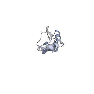 8564_5uk2_B_v1-3
CryoEM structure of an influenza virus receptor-binding site antibody-antigen interface - Class 4